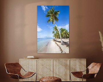 Plage de Bois Jolan, Sainte Anne. Strand, palmbomen, Guadeloupe van Fotos by Jan Wehnert