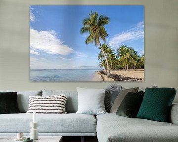 Plage de Bois Jolan, Sainte Anne. plage, palmiers, Guadeloupe sur Fotos by Jan Wehnert
