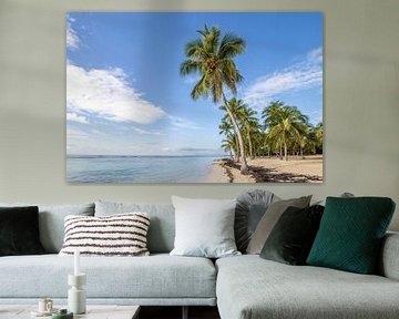 Plage de Bois Jolan, Sainte Anne. Strand, palmbomen, Guadeloupe van Fotos by Jan Wehnert