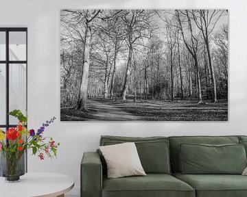 Mystérieuse forêt vierge sur Roland de Zeeuw fotografie