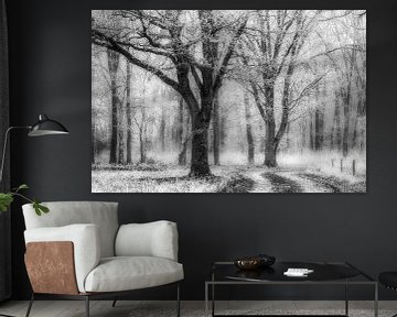 La forêt d'Oudemolen en noir et blanc sur Jurjen Veerman