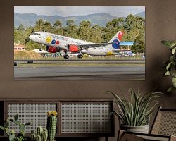 Aperçu de la chambre