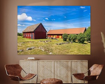 Red wooden houses and trees on the island of Sladö in Sweden by Rico Ködder