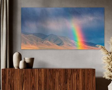 Rainbow in Nevada by Henk Meijer Photography