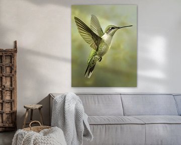 Flying hummingbird by But First Framing