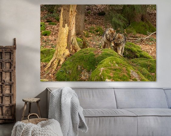 Aperçu de la chambre