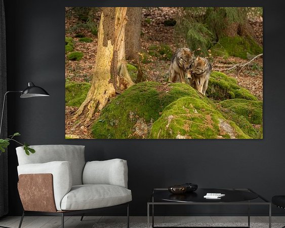 Aperçu de la chambre