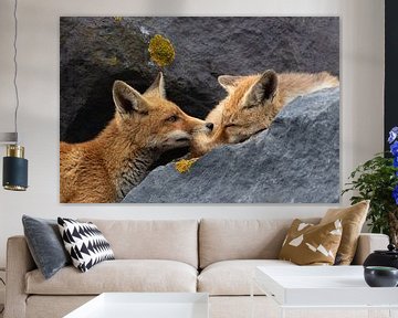 baby vos maakt zusje wakker om te kunnen spelen tussen de stenen van Ria van den Broeke