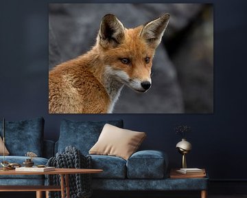 fox must learn early on that the environment needs to be monitored by Ria van den Broeke