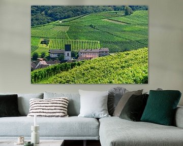 Vineyard landscape Pfaffenweiler by Ingo Laue