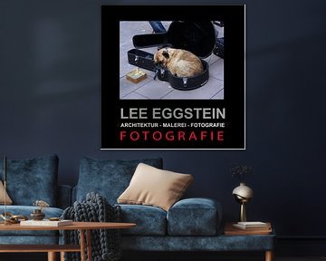 Coverfoto uit de serie Fotografie van lee eggstein