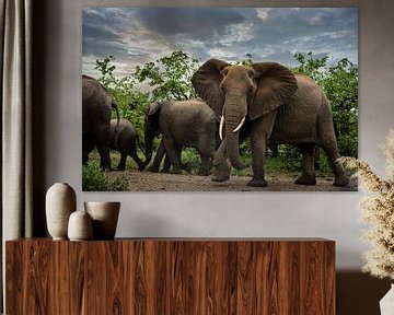 Elefanten im Kruger NP von Paula Romein