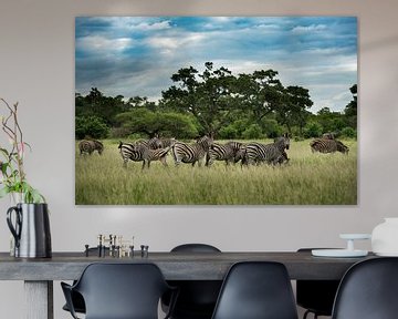 Zèbres dans le parc national Kruger sur Paula Romein