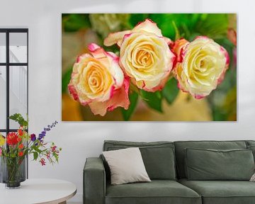 Drie crème en roze rozen van Iris Holzer Richardson