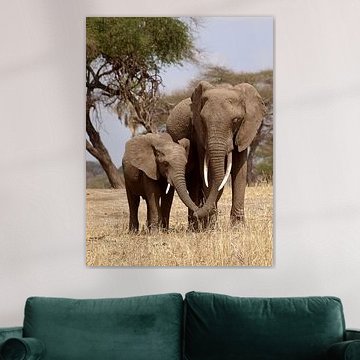Elephants by Roos Vogelzang