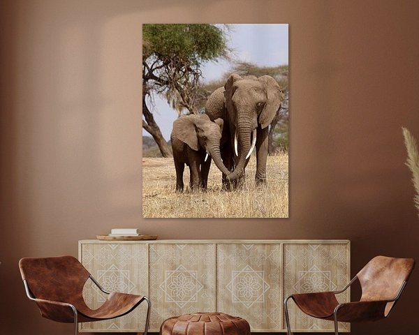 Elefanten im Tansania Nationalpark 