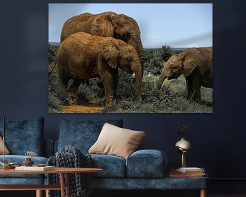 Three generations of elephants, Addo Elephant National Park by The Book of Wandering