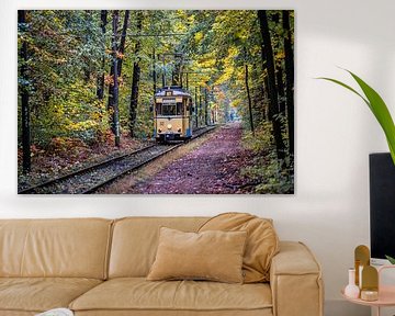 Straßenbahn im Herbstwald von Karsten Rahn