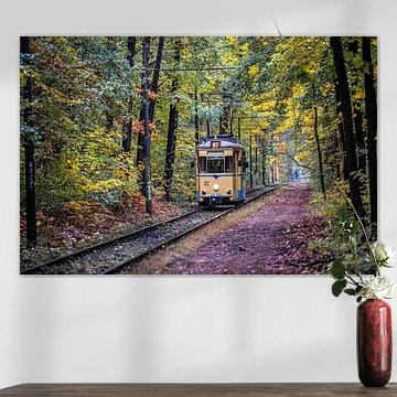 Straßenbahn im Herbstwald