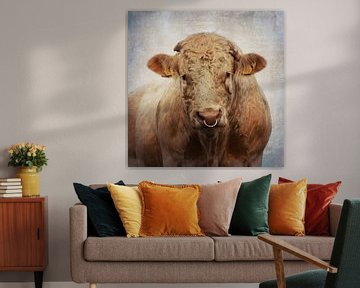 Portret van een Charolais-stier van Western Exposure
