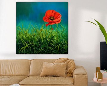 Mohn - Papaver -