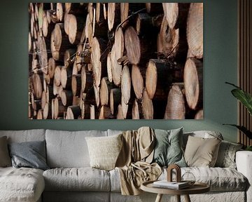 Boomstammen wood