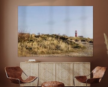 Mooi uitzicht op Schiermonnikoog met vuurtoren van Lydia