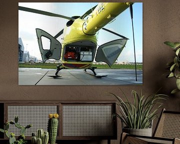 Lifeliner holland