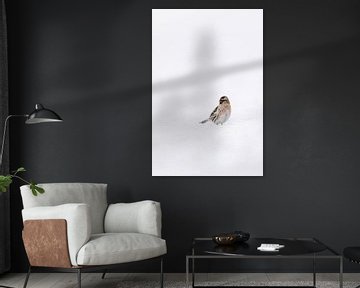 Oiseau dans la neige sur Marika Huisman fotografie