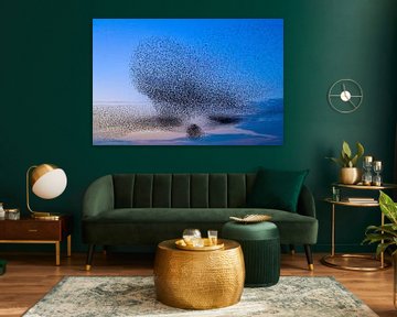 Starling murmuration during sunset at the end of the day by Sjoerd van der Wal Photography