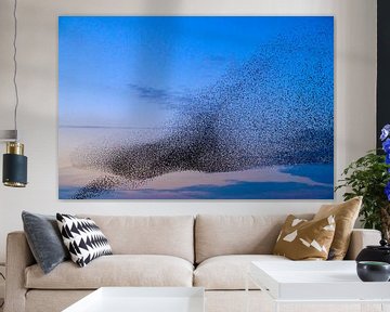 Starling murmuration during sunset at the end of the day by Sjoerd van der Wal Photography