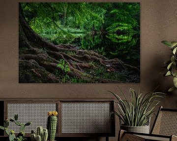 Swamp cypress van John Goossens Photography