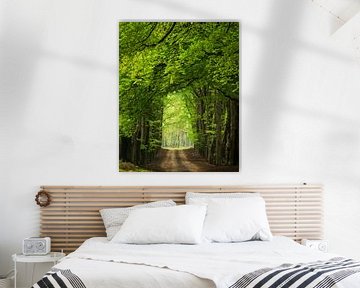 The green tunnel