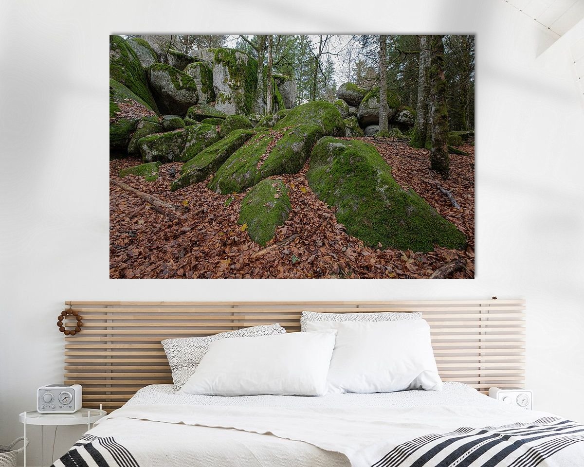 Aperçu de la chambre