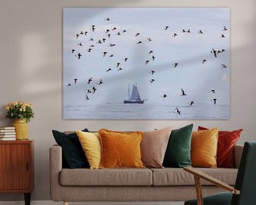 Oystercatchers fly in front of ship by Anja Brouwer Fotografie