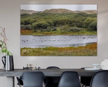 Spoonbills in dune lake by Anja Brouwer Fotografie