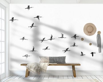 Lepelaars in zwart-wit