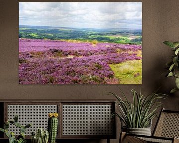 Heather Blossoming in the North York Moors van Gisela Scheffbuch