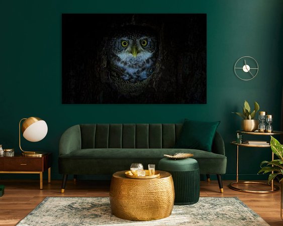 Aperçu de la chambre