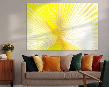Yellow palm leaf by Anouschka Hendriks