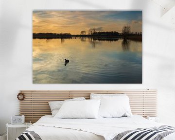 Coot in the water during colourful sunset by Bram Lubbers