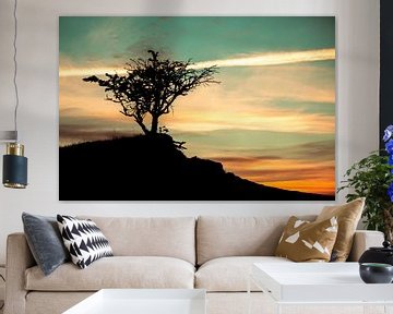 Einsamer Baum bei Sonnenaufgang von Hazelure Pictures