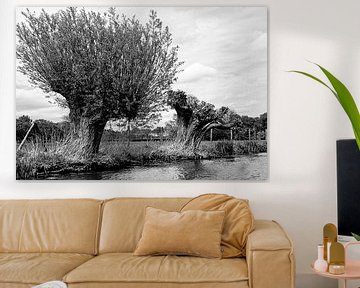 Willow trees at the river by Niels Eric Fotografie