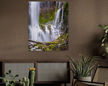 Wasserfall Proxy Falls, Oregon von Henk Meijer Photography