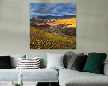 Coucher de soleil dans les Painted Hills, Oregon sur Henk Meijer Photography