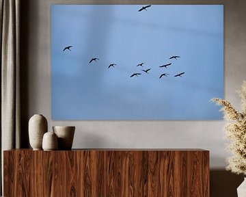 Kraanvogels vliegen in de lucht van Martin Köbsch