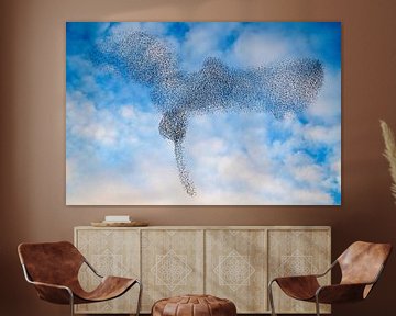 Starling murmuration in the sky during sunset by Sjoerd van der Wal Photography