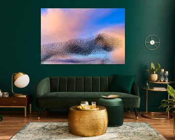 Starling murmuration in the sky during sunset by Sjoerd van der Wal Photography