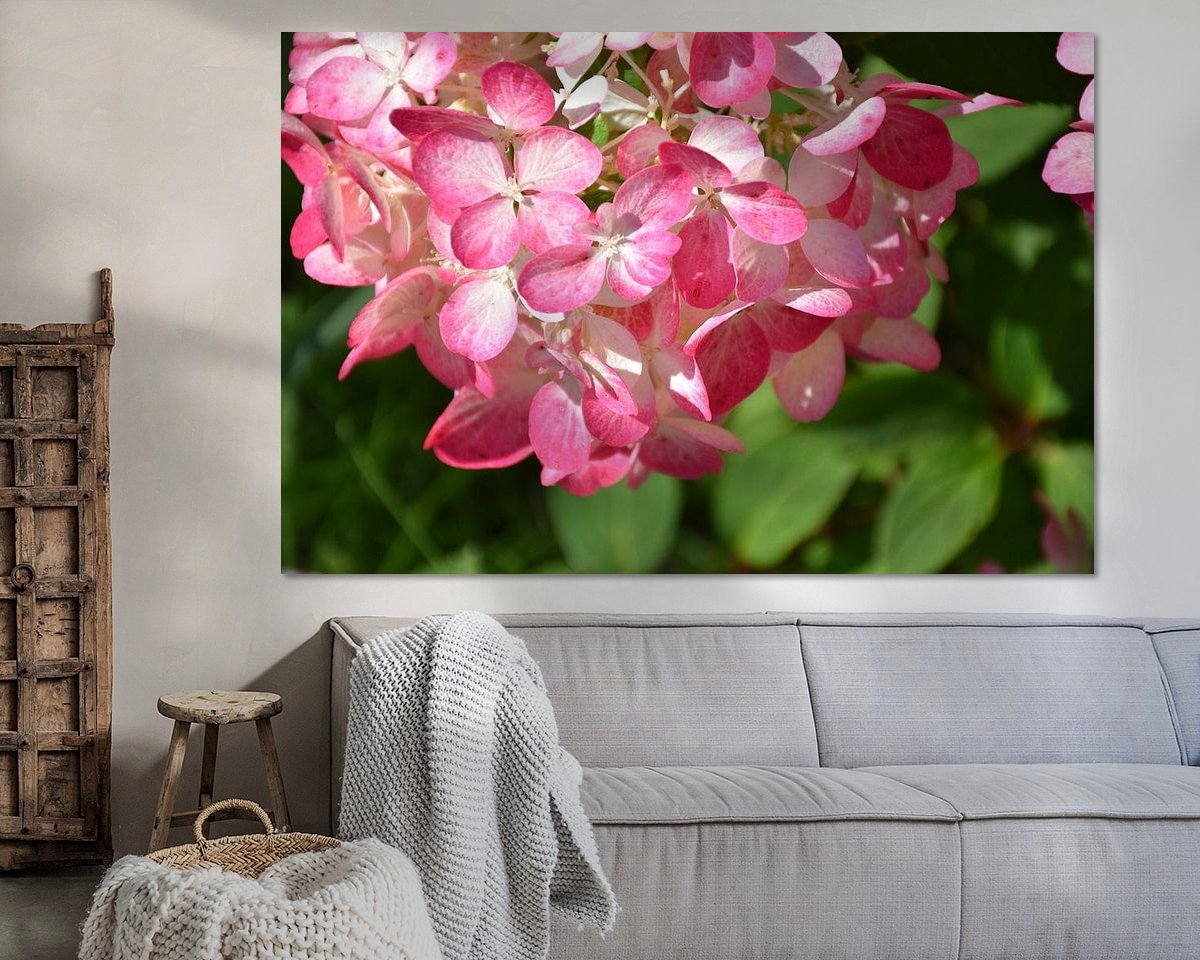 Raumvorschau