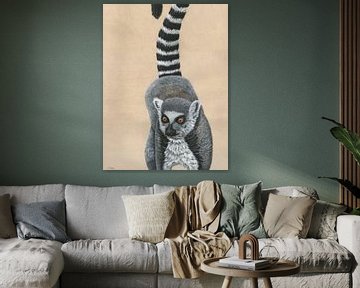 Katta, Lemur catta